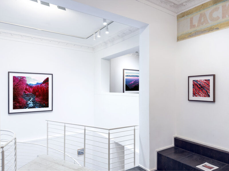 Installation shot from Nature’s Signatures, @ Luisa Catucci Contemporary