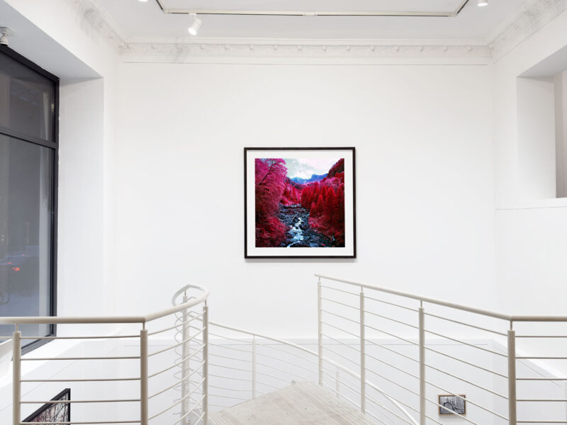 Installation shot from Nature’s Signatures, @ Luisa Catucci Contemporary