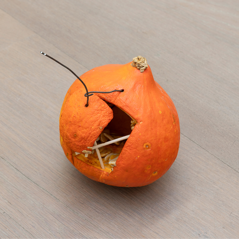 Andreas Slominski, Kleinvogelfalle, 2026