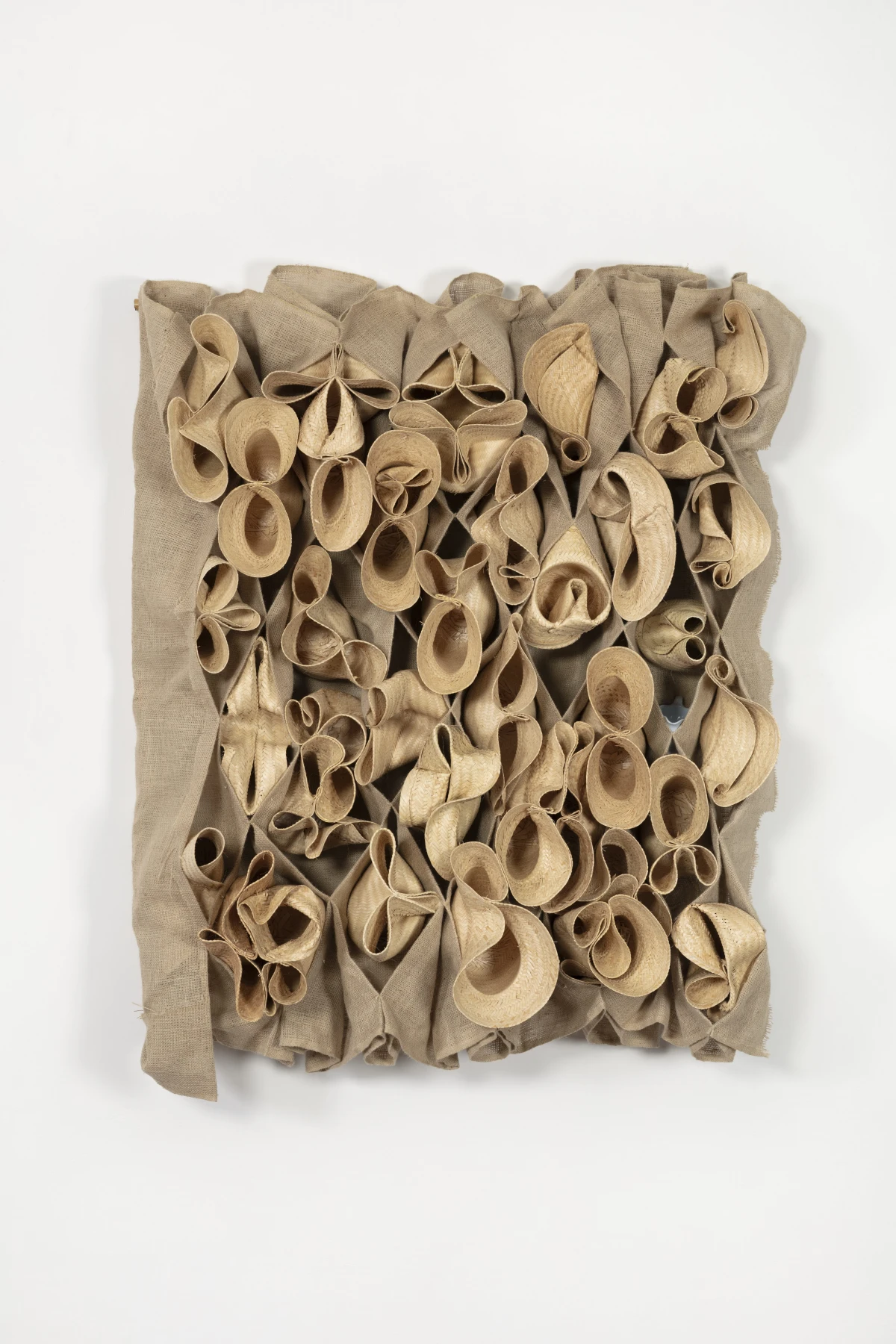 Laura Lima, Ninho Comunal (Cocote), 2025