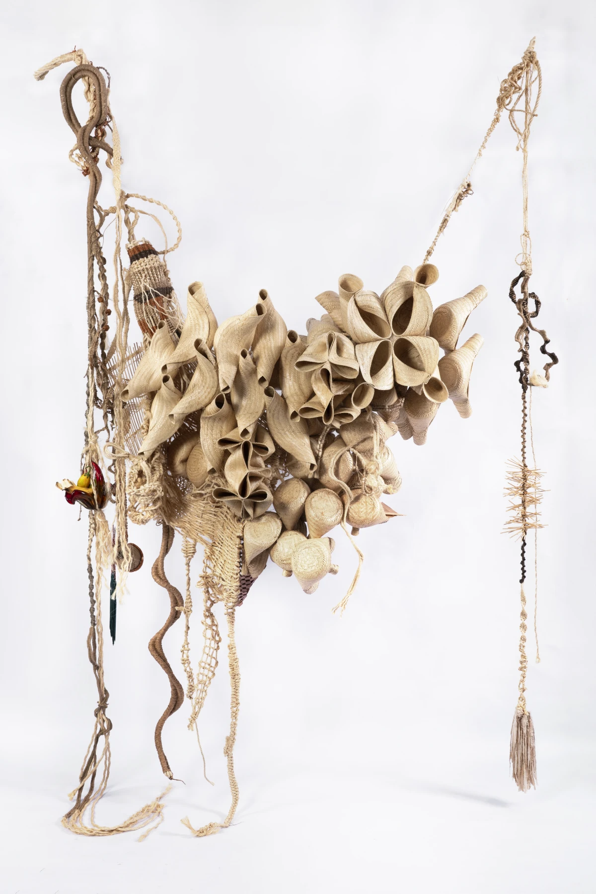 Laura Lima, Ninho Comunal (Summer plant), 2025