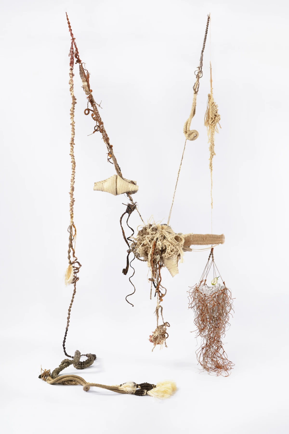 Laura Lima, Ninho Comunal (Trepadeira), 2025