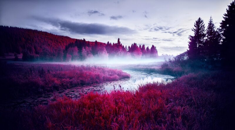 Zak van Biljon, Le Cenit Mist, 2019