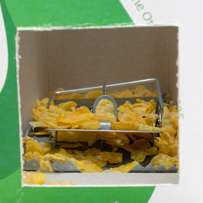 Andreas Slominski, Meerschweinchenfalle, 2023