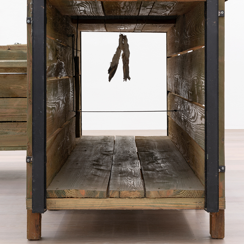 Andreas Slominski, Mehrzweckfalle mit Abfangkasten, 1995