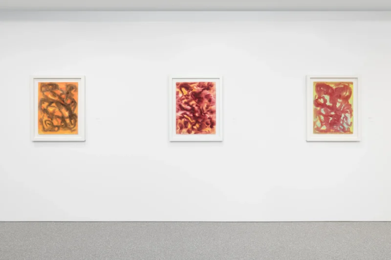 Installation shot from Beauford Delaney: The Light Contained in Every Thing, @ Michael Rosenfeld Gallery