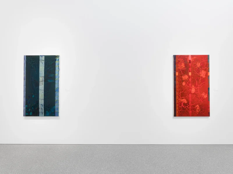 Installation shot from William T. Williams: Word of Eye, @ Michael Rosenfeld Gallery