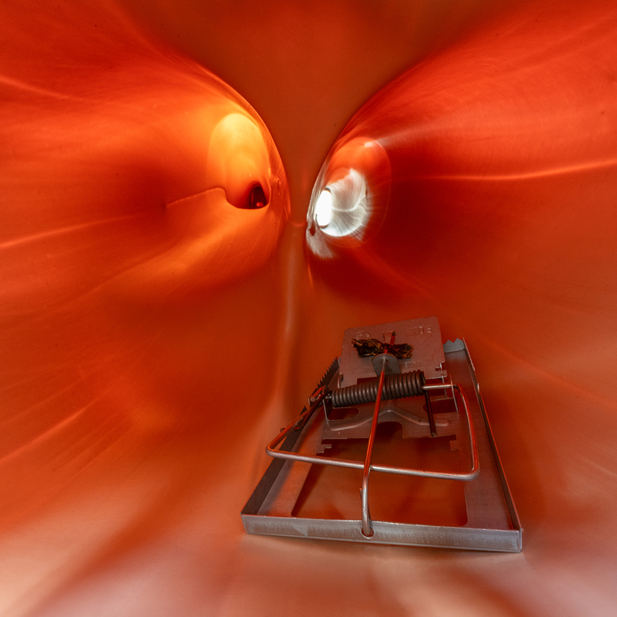 Andreas Slominski, Rattenfalle, 2025