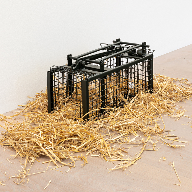 Andreas Slominski, Stinktierfalle, 2026