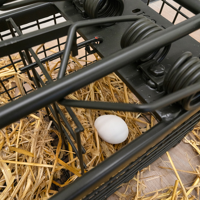 Andreas Slominski, Stinktierfalle, 2026