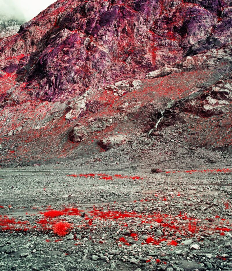 Zak van Biljon, Sustenpass, 2021