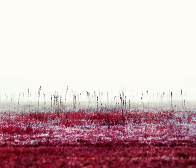 Zak van Biljon, Türlersee, 2021