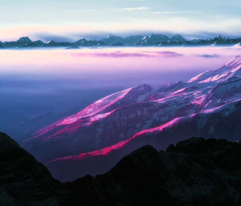 Zak van Biljon, Vie from Santis, 2020