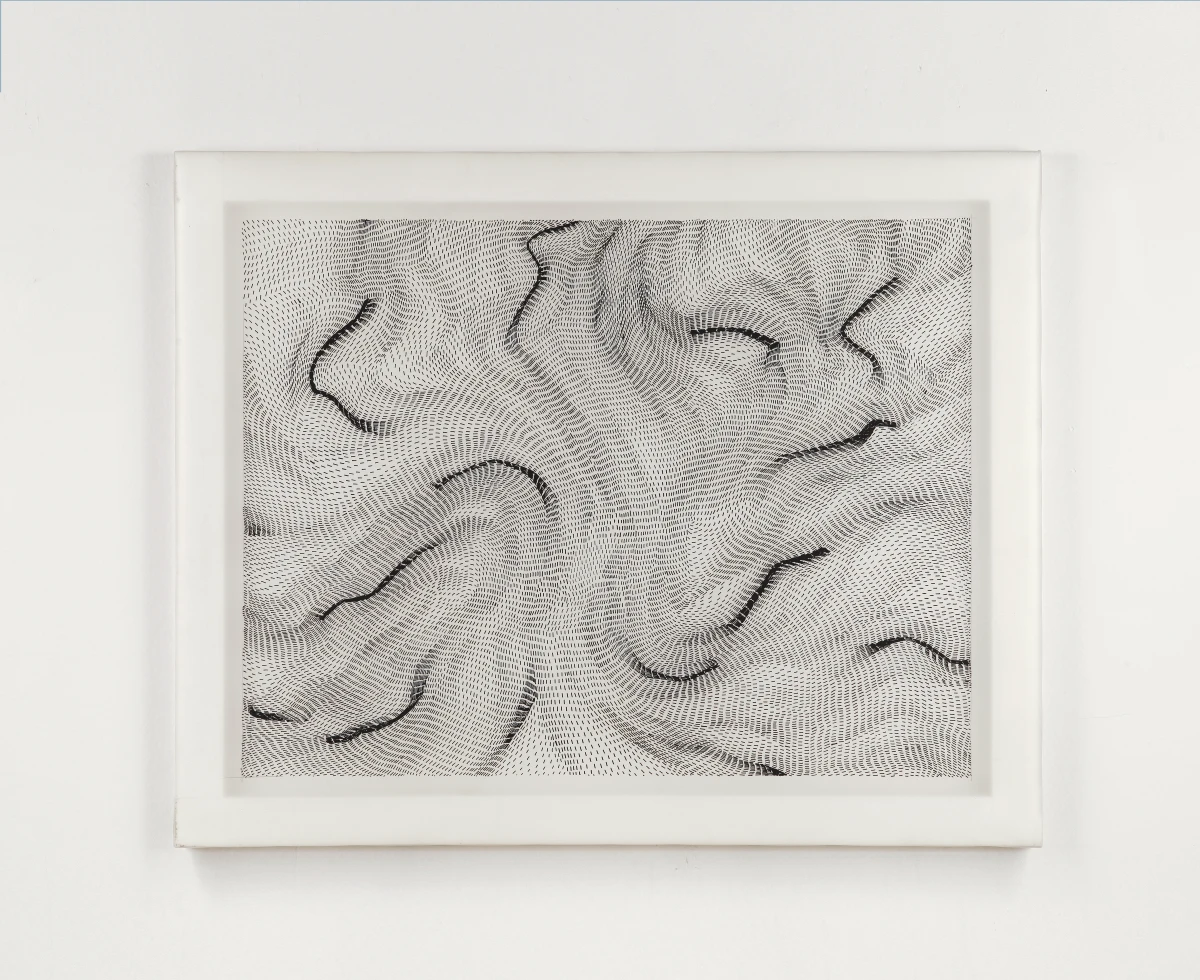 Dadamaino, Passo dopo passo, 1989