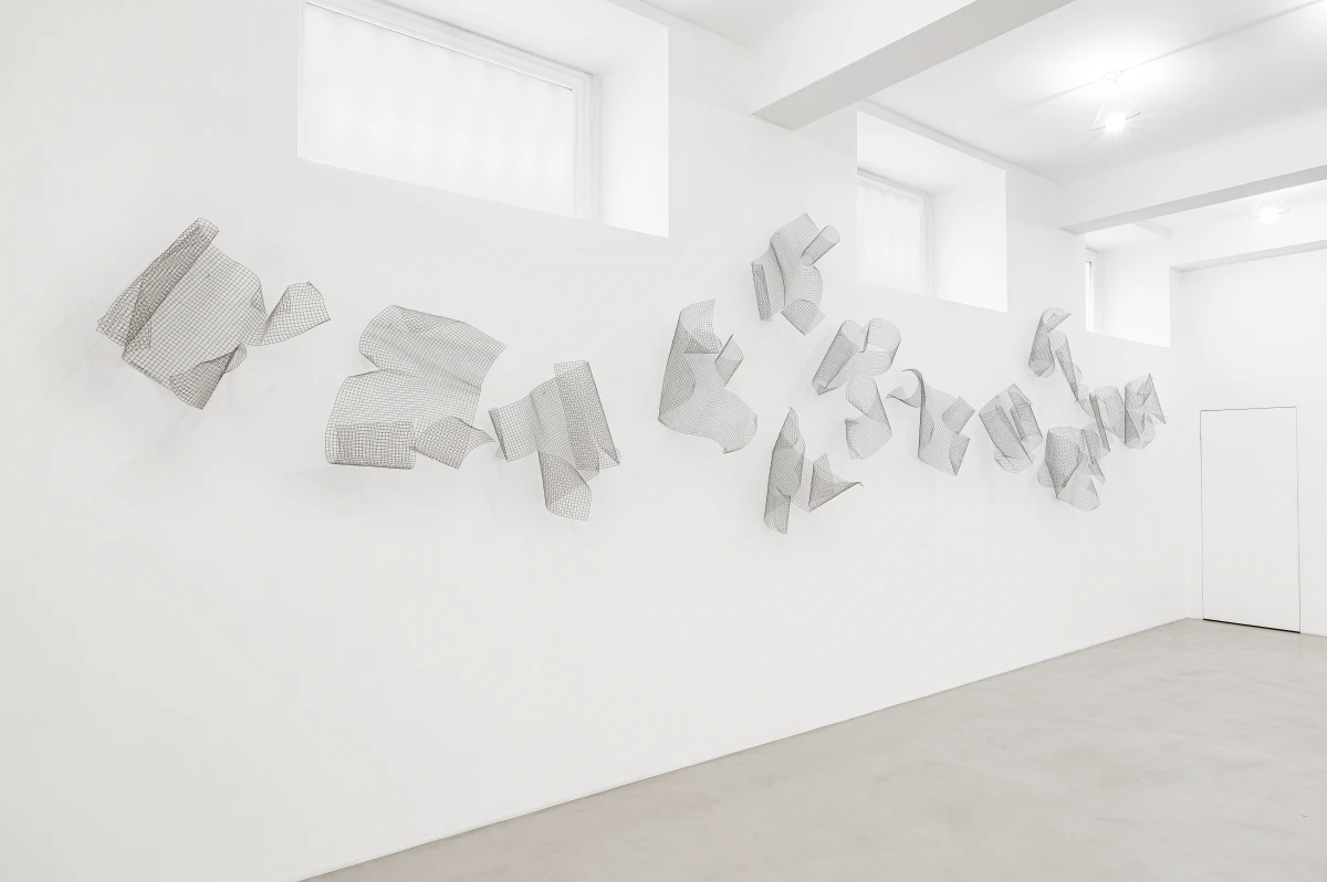 Grazia Varisco, Reticenze, 2024