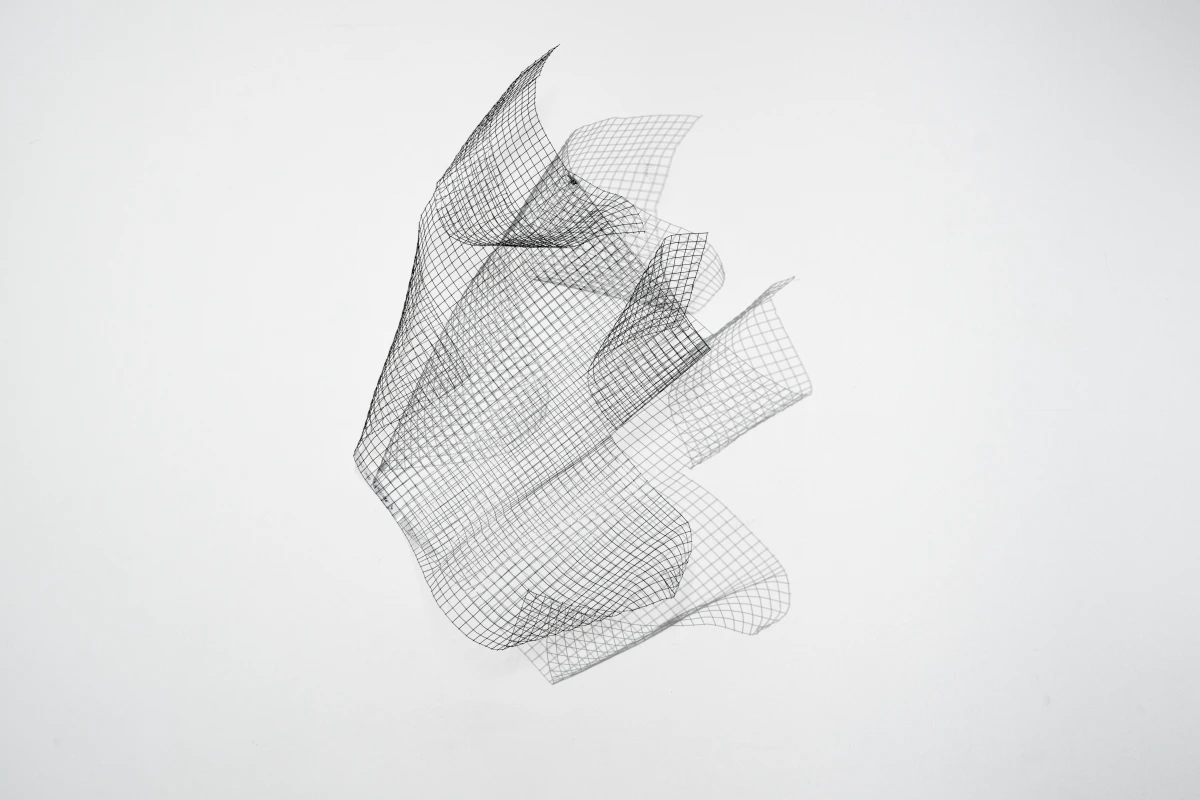 Grazia Varisco, Reticenza 3, 2024