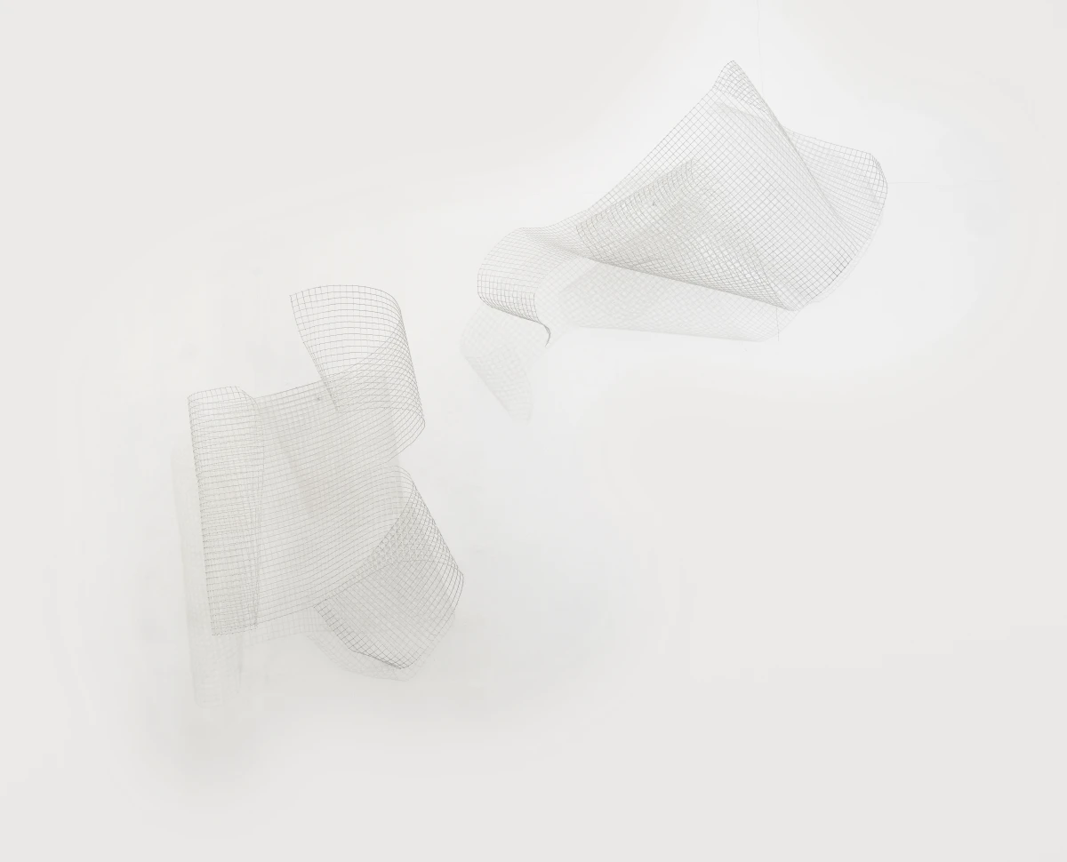 Grazia Varisco, Reticenza, 2024