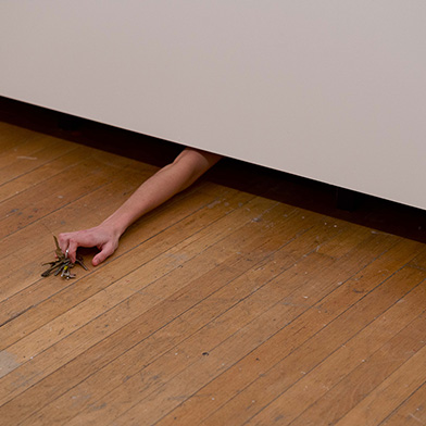 Image from Laura Lima: The Drawing Drawing, at Institute of Contemporary Arts (ICA)