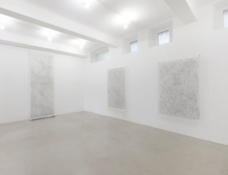 Installation shot from Fragilità. Visioni di una forza formativa, @ A arte Invernizzi