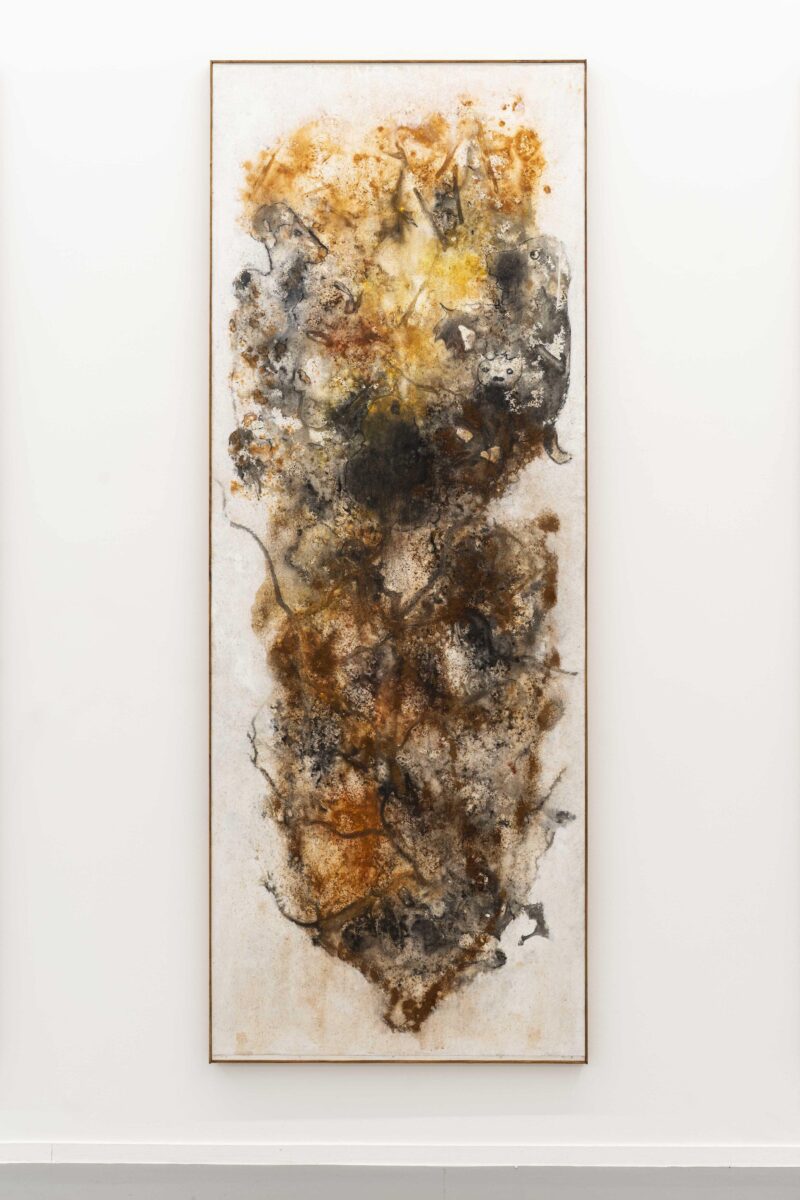 Aliou Diack, Matrix V, 2026