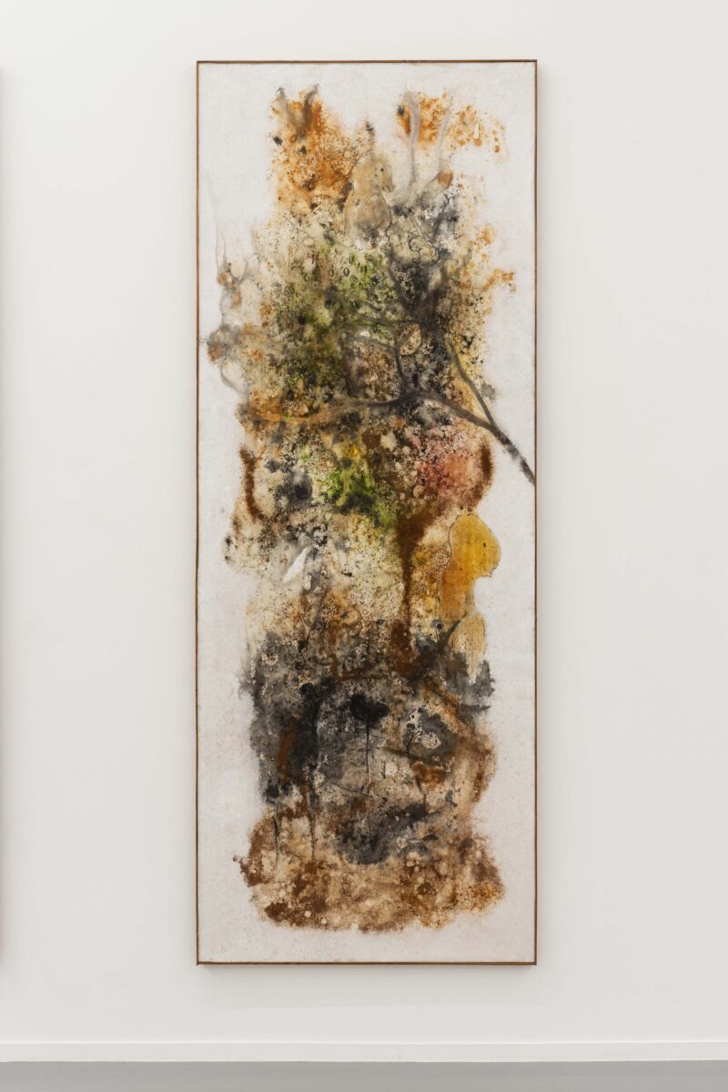 Aliou Diack, Matrix X