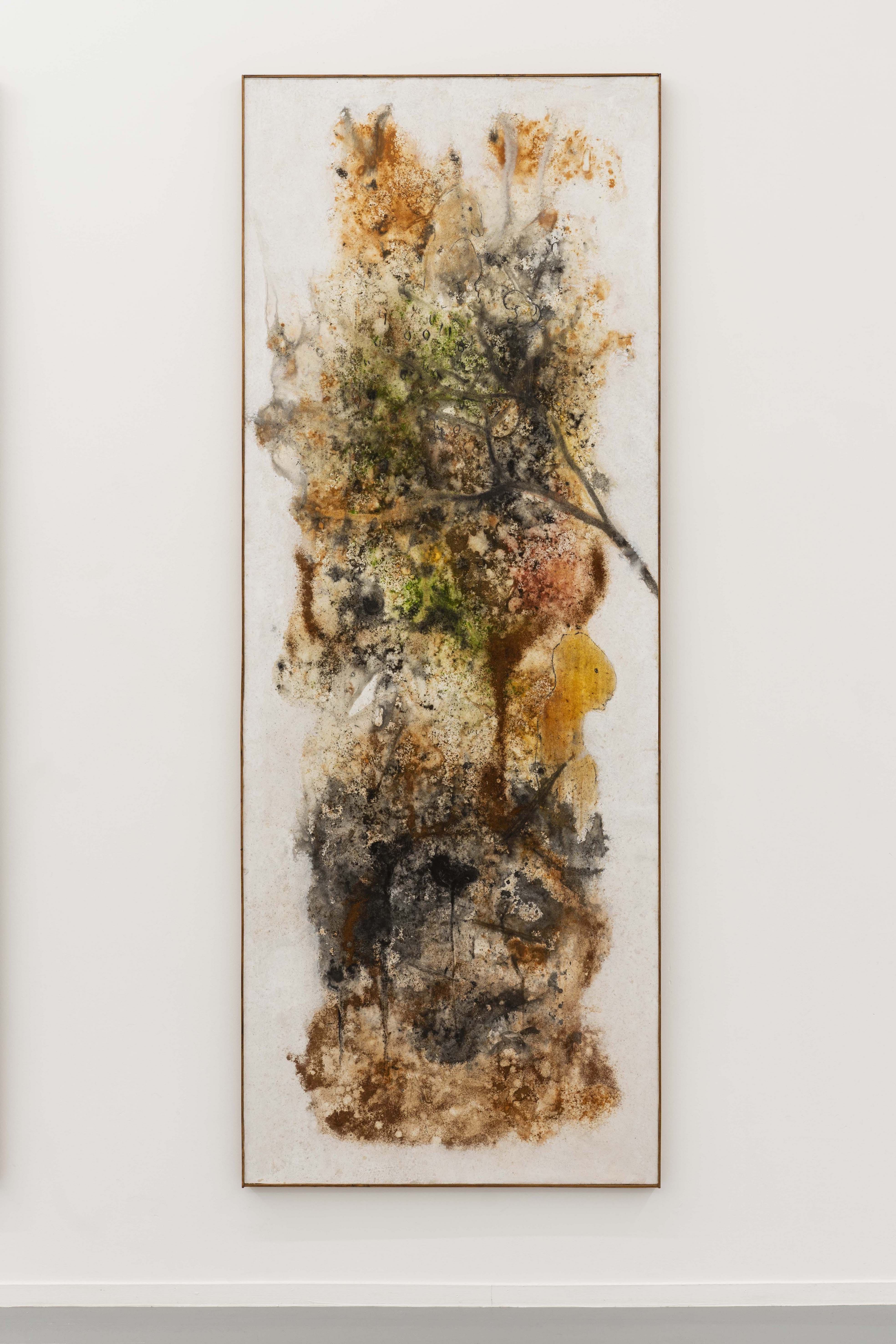 Aliou Diack, Matrix X