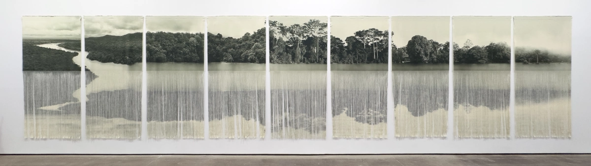 Ana González, AMAZONIA, 2025