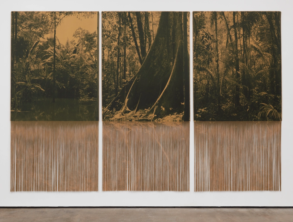 Ana González, CEIBA, 2025