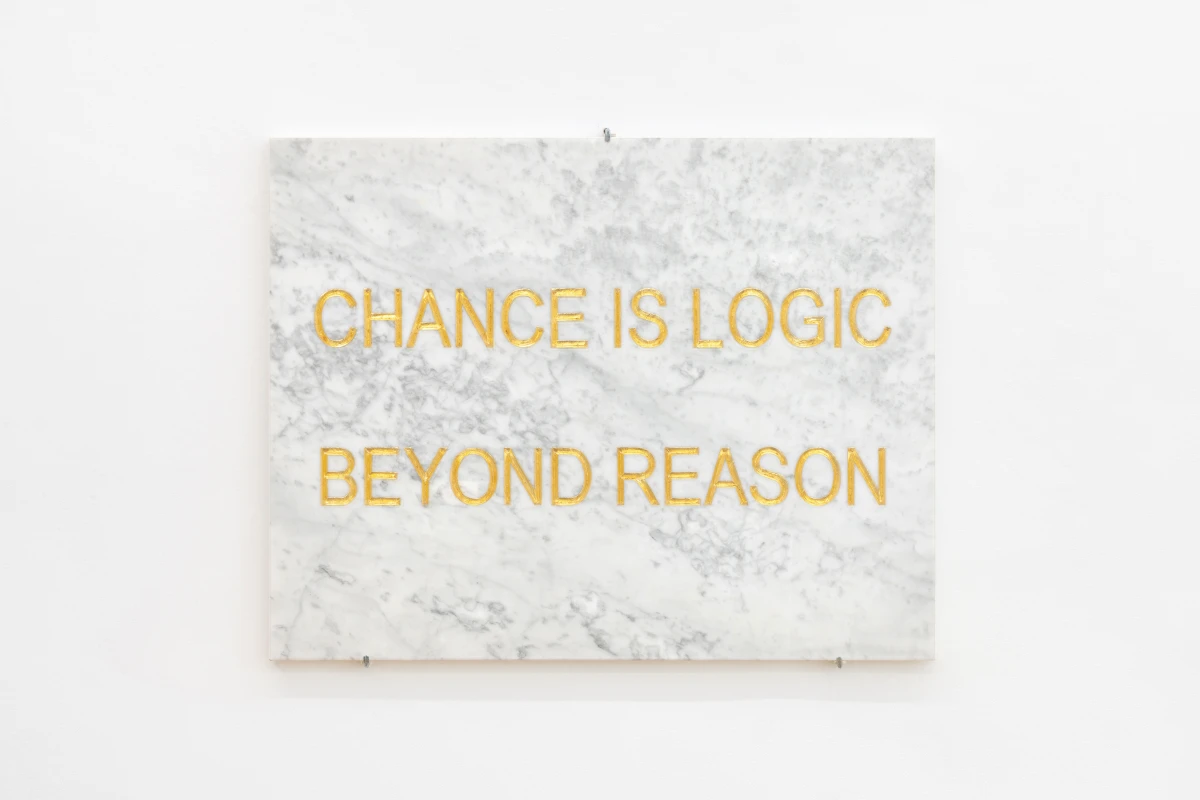 Braco Dimitrijevic, Chance is Logic Beyond Reason, 1983