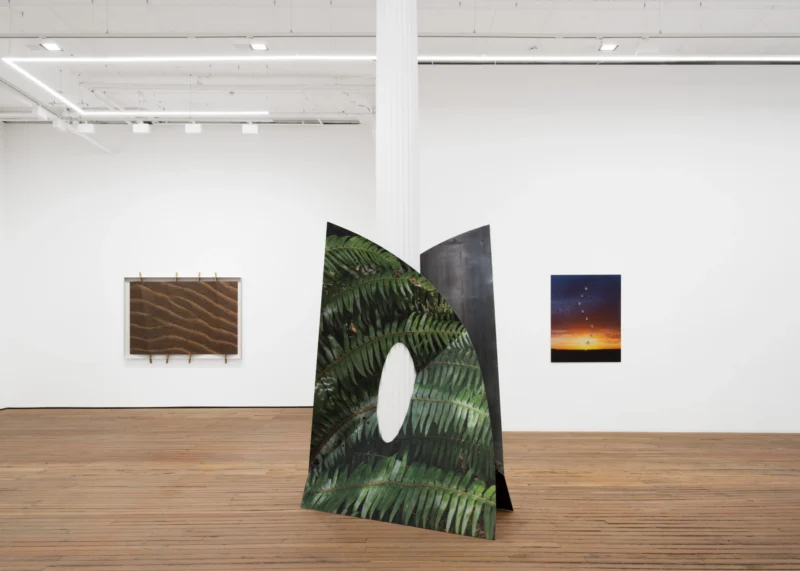 Installation shot from Letha Wilson: Stone’s Throw, @ GRIMM