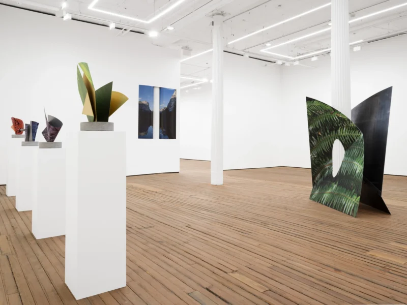 Installation shot from Letha Wilson: Stone’s Throw, @ GRIMM