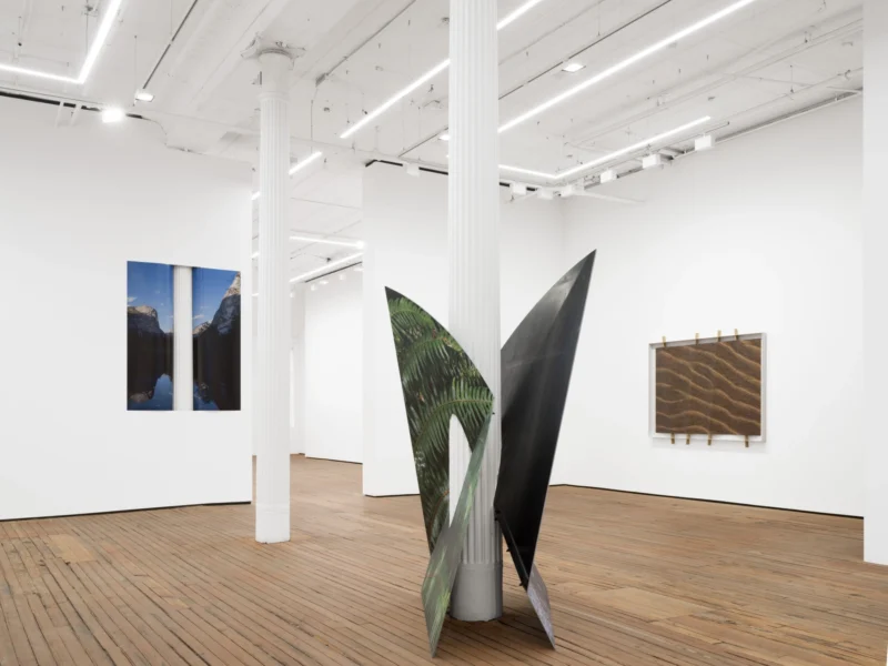 Installation shot from Letha Wilson: Stone’s Throw, @ GRIMM