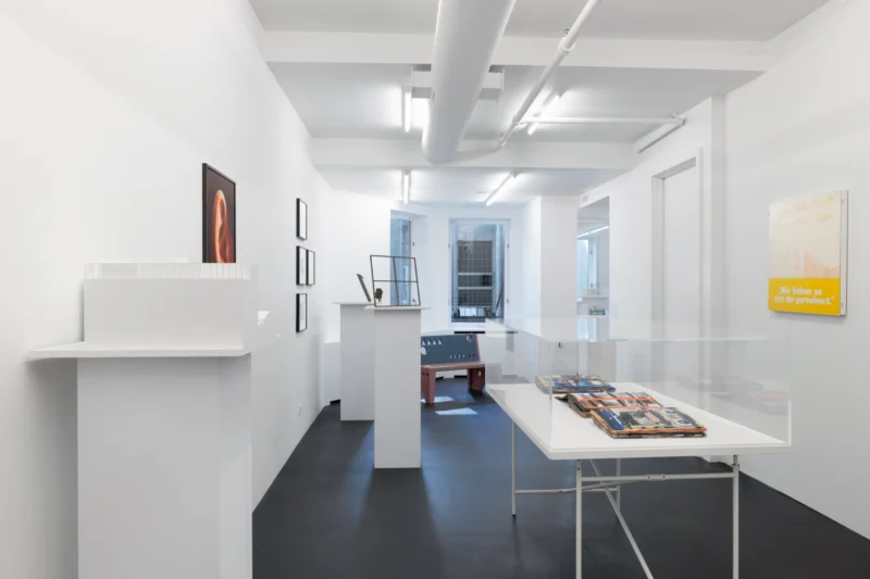 Installation shot from Isa Genzken: Projects for Outside - ISA USA, @ Galerie Buchholz