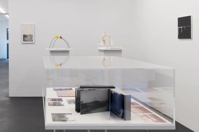 Installation shot from Isa Genzken: Projects for Outside - ISA USA, @ Galerie Buchholz