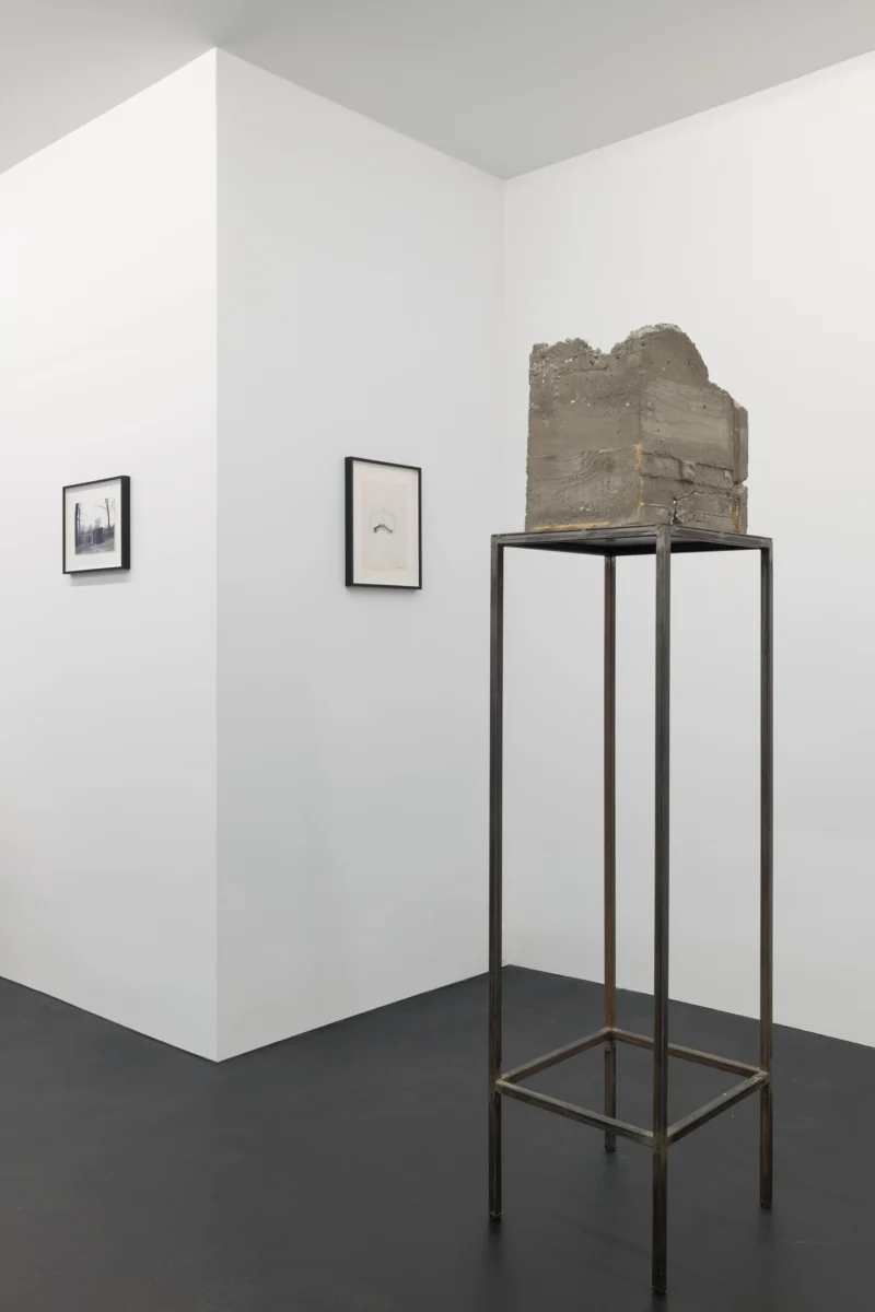 Installation shot from Isa Genzken: Projects for Outside - ISA USA, @ Galerie Buchholz