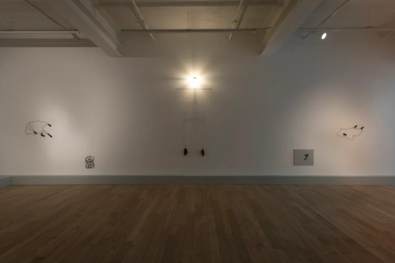 Installation shot from Amol K Patil: The Shadow of Lustre, @ Galerie Peter Kilchmann