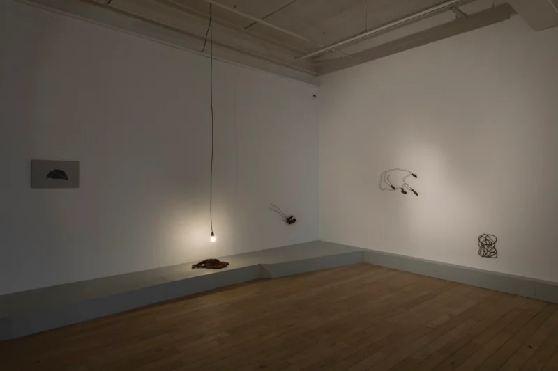Installation shot from Amol K Patil: The Shadow of Lustre, @ Galerie Peter Kilchmann