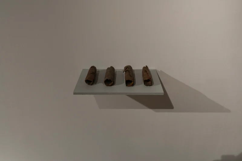 Installation shot from Amol K Patil: The Shadow of Lustre, @ Galerie Peter Kilchmann