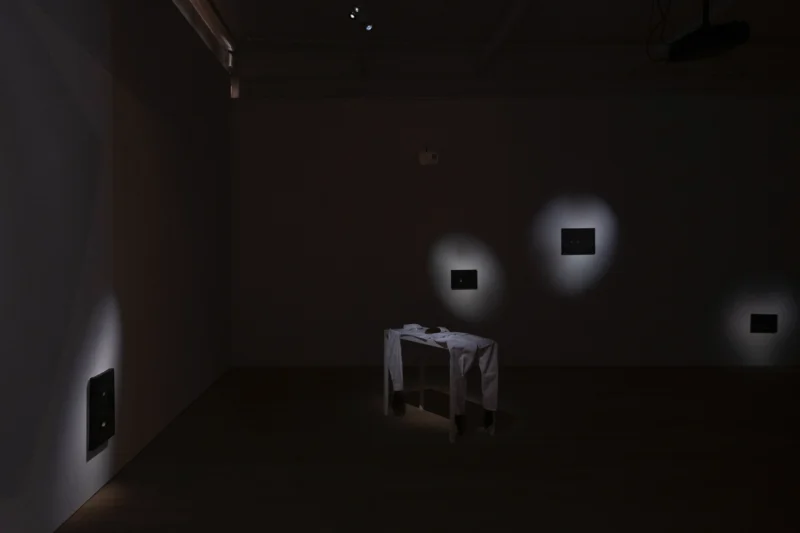Installation shot from Amol K Patil: The Shadow of Lustre, @ Galerie Peter Kilchmann