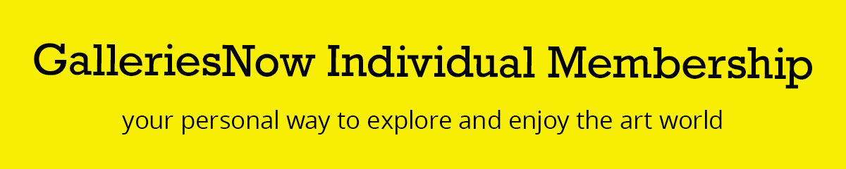 enjoy exclusive benefits with a GalleriesNow Individual Membership