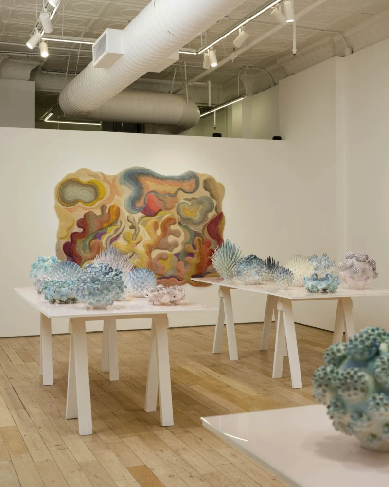 Installation shot from Camilla Iliefski & Eva Zethraeus: Shimmering Real: Perception and the Spaces Between, @ HB381