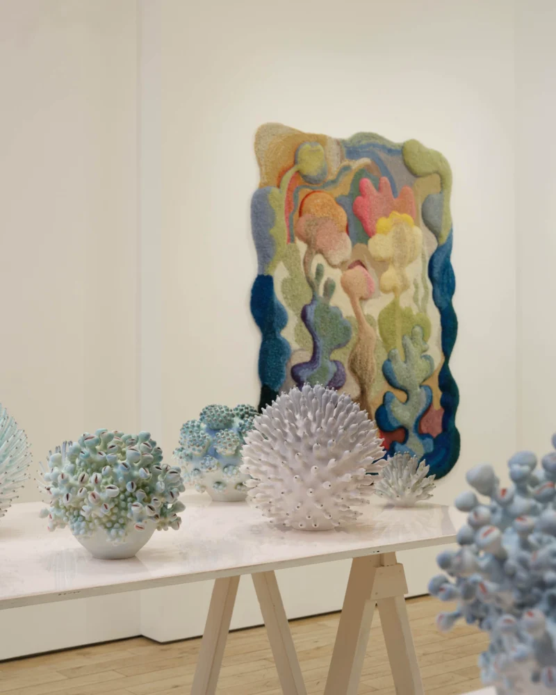 Installation shot from Camilla Iliefski & Eva Zethraeus: Shimmering Real: Perception and the Spaces Between, @ HB381