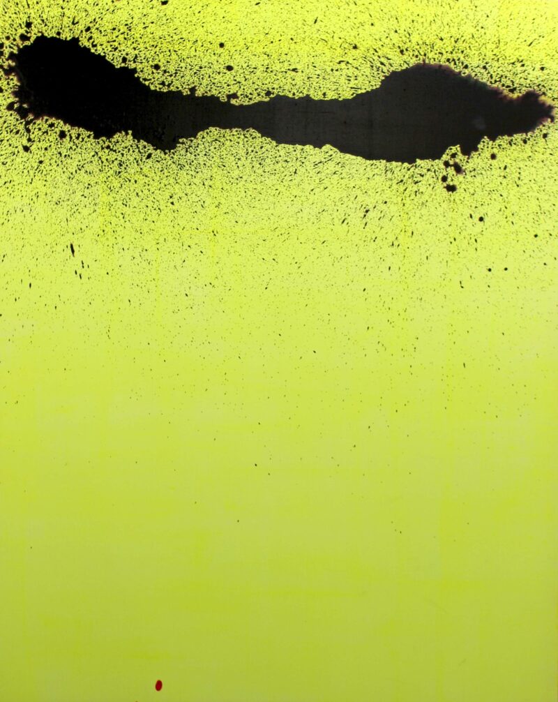 Song E Yoon, Evolution Involution, 2012