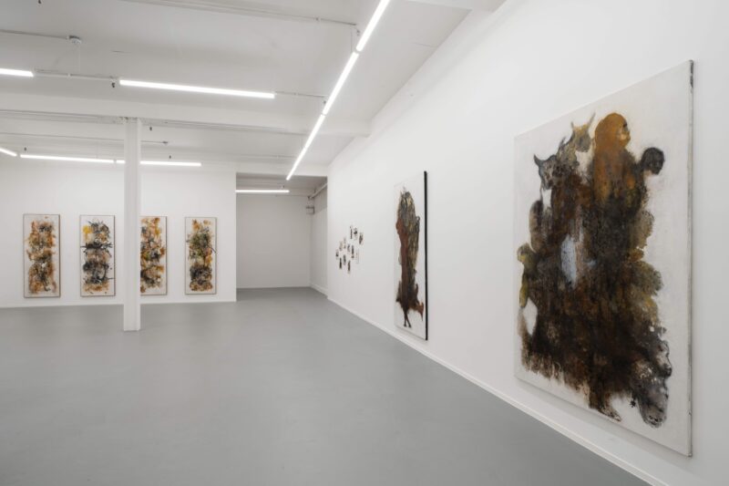 Installation shot from Aliou Diack: Into the Foetus, @ Project LOOP