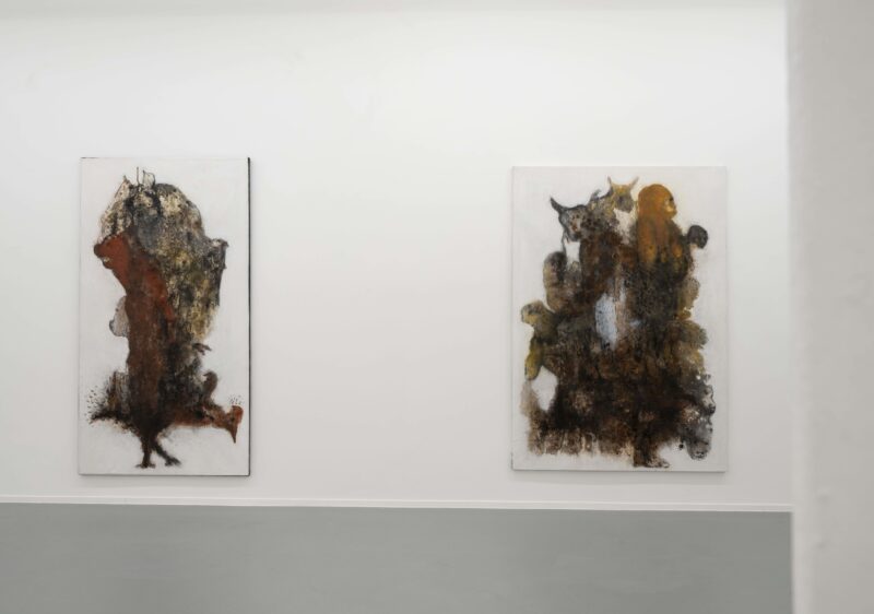 Installation shot from Aliou Diack: Into the Foetus, @ Project LOOP