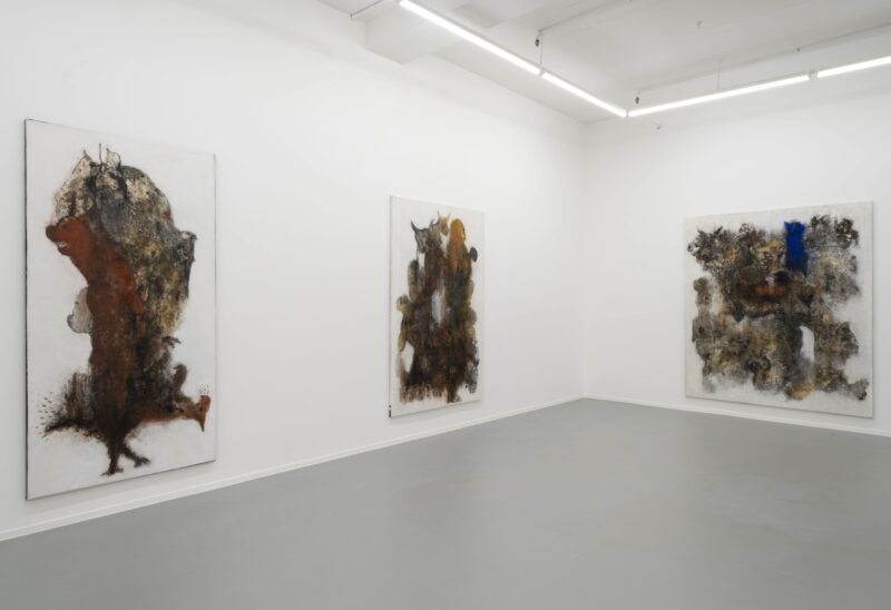 Installation shot from Aliou Diack: Into the Foetus, @ Project LOOP