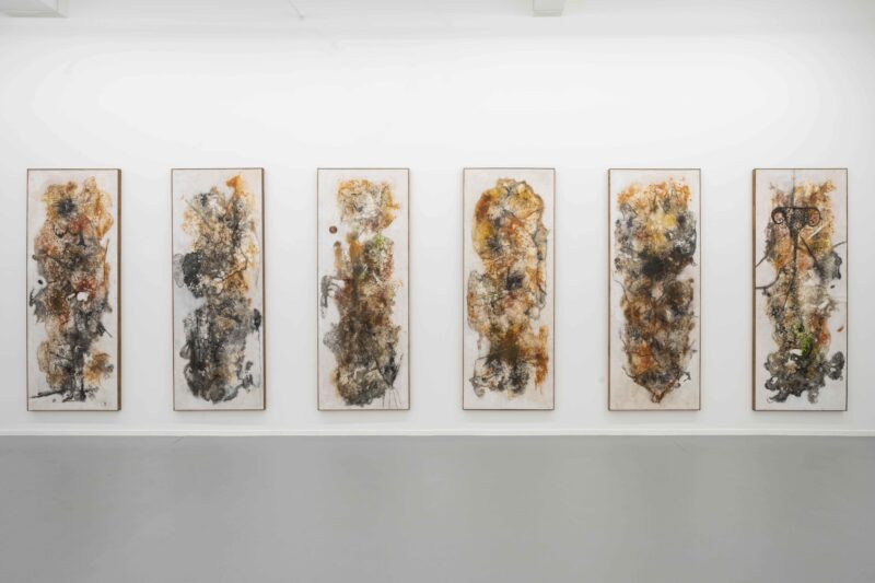 Installation shot from Aliou Diack: Into the Foetus, @ Project LOOP