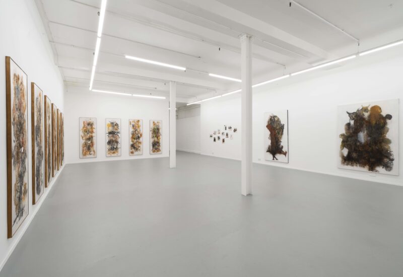 Installation shot from Aliou Diack: Into the Foetus, @ Project LOOP