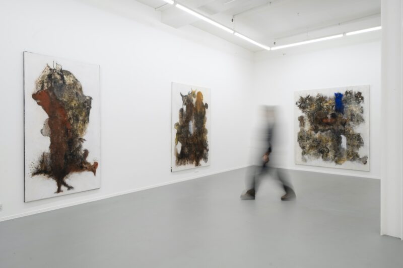 Installation shot from Aliou Diack: Into the Foetus, @ Project LOOP