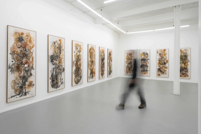 Installation shot from Aliou Diack: Into the Foetus, @ Project LOOP